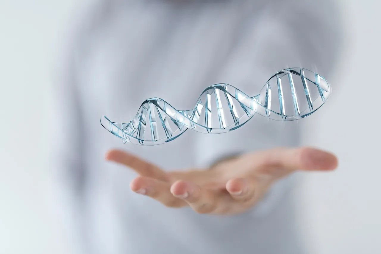 The Angel Loop - DNA